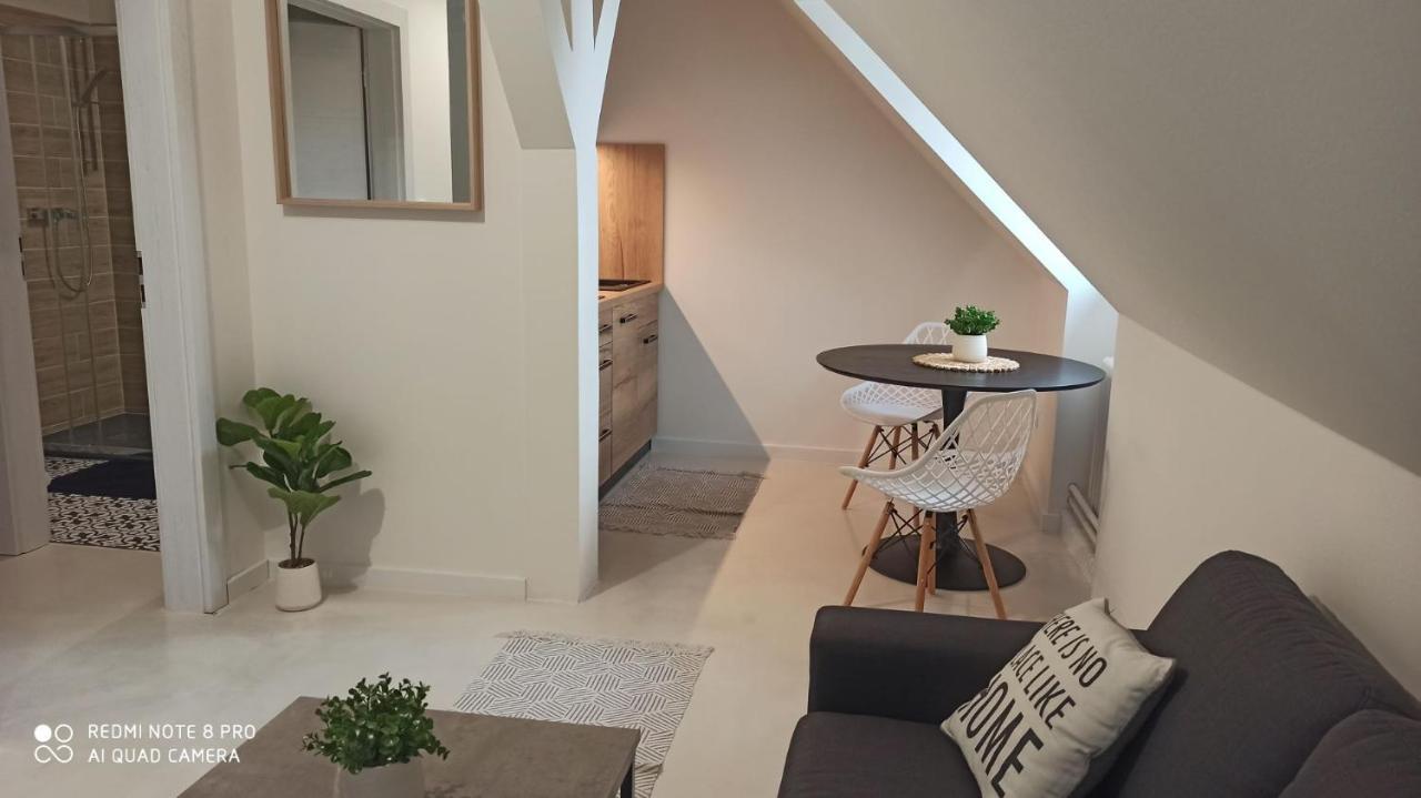 Apartmán Jungmann U Zlaté hvězdy Apartman Litoměřice Kültér fotó