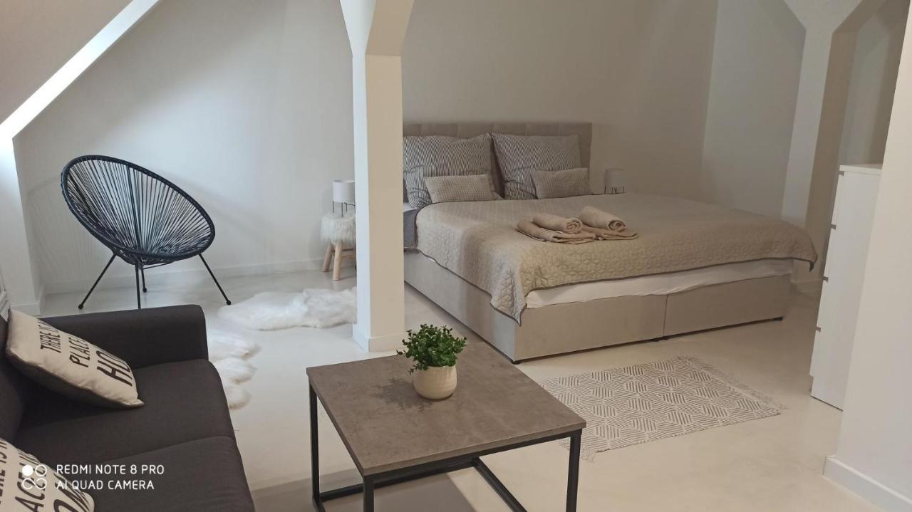 Apartmán Jungmann U Zlaté hvězdy Apartman Litoměřice Kültér fotó